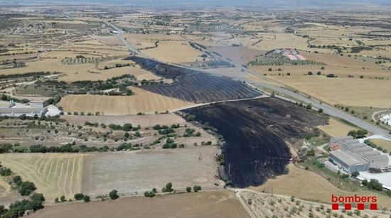 Cremen 8,4 hectàrees agrícoles en un incendi a Cervera