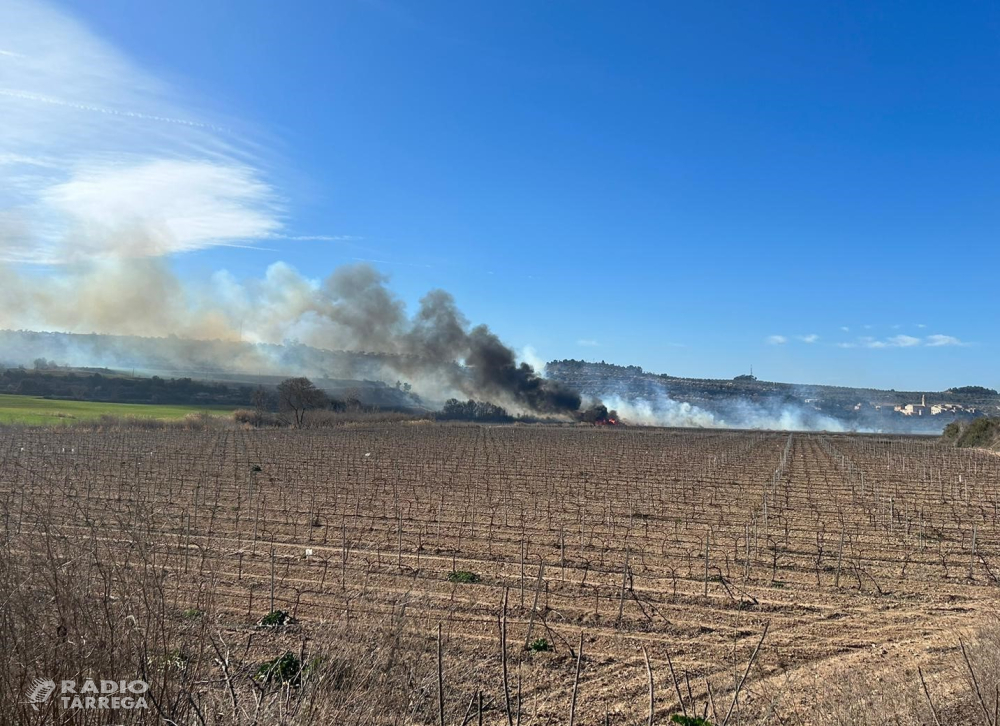 Estabilitzat un incendi forestal a Rocafort de Vallbona
