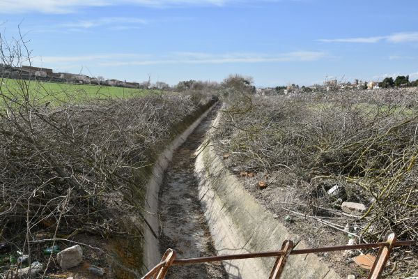 El grup ecologista GEMA denuncia una tala massiva d’arbres i arbustos al Canalet de Tàrrega