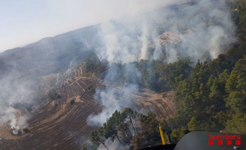 Foc forestal entre els Omells de Na Gaia i Vallbona de les Monges a l'Urgell